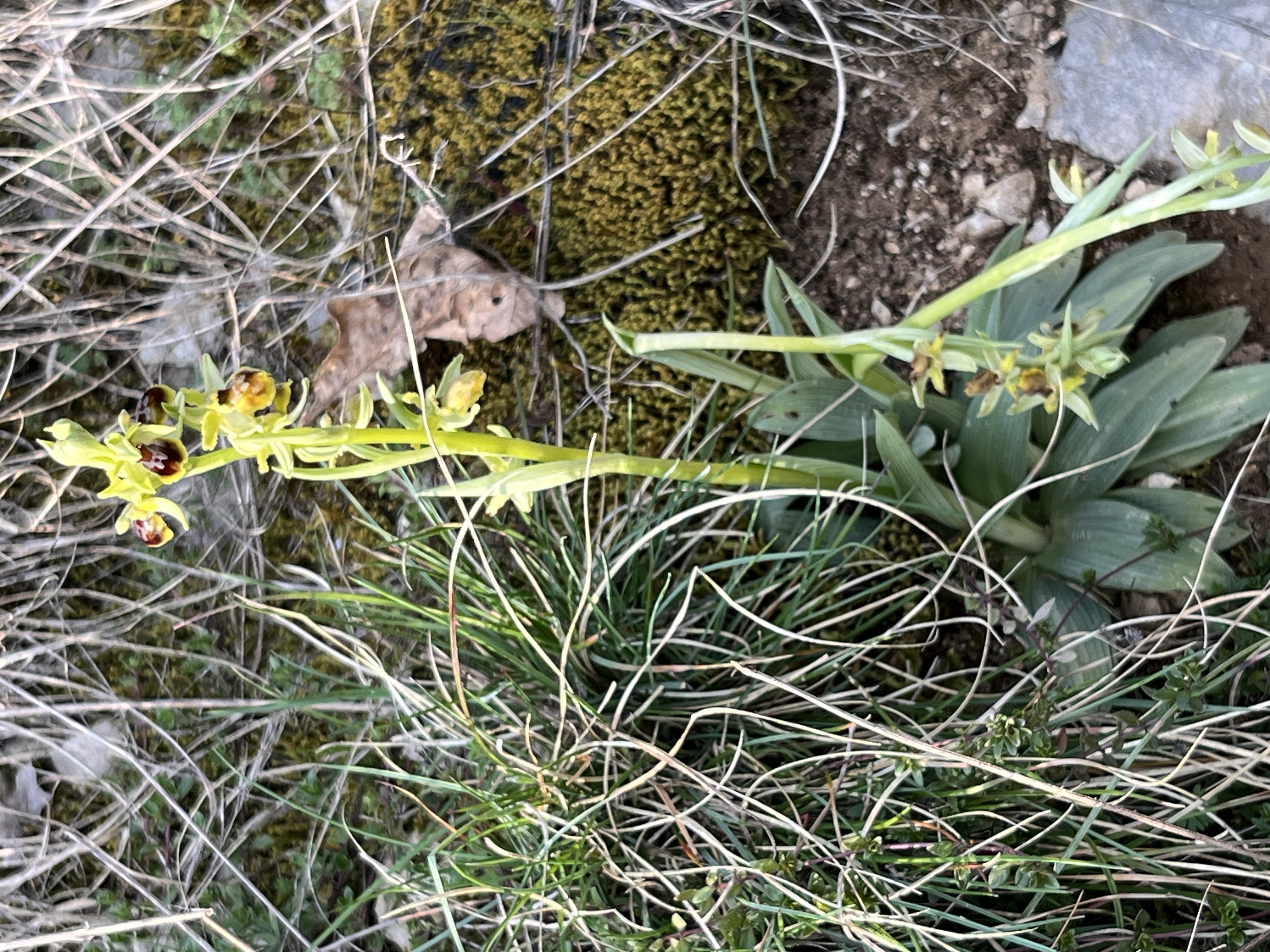 2026.03.21 - Yenne - Image 1.JPG