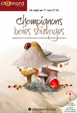 Image de l'actualité Exposition champignons et baies sauvages