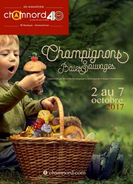 Image de l'actualité Exposition Champignons et baies sauvages