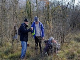 Image de l'actualité Mycologie sur les bords du Rhône et dans l'Avant-Pays