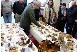 Image de l'actualité Présentation de champignons à Voglans