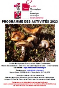 Programme des activités 2023