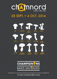 Image de l'activité Les champignons et les plantes de l'automne